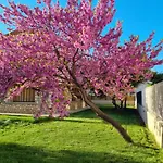Un Ecrin Verdoyant Au Calme * Nîmes