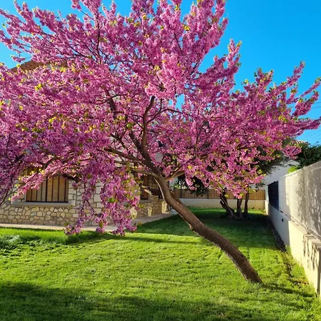 Quiet In A Setting * Nimes